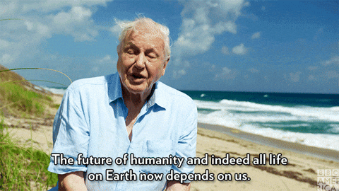 The future of humanity now depends on us